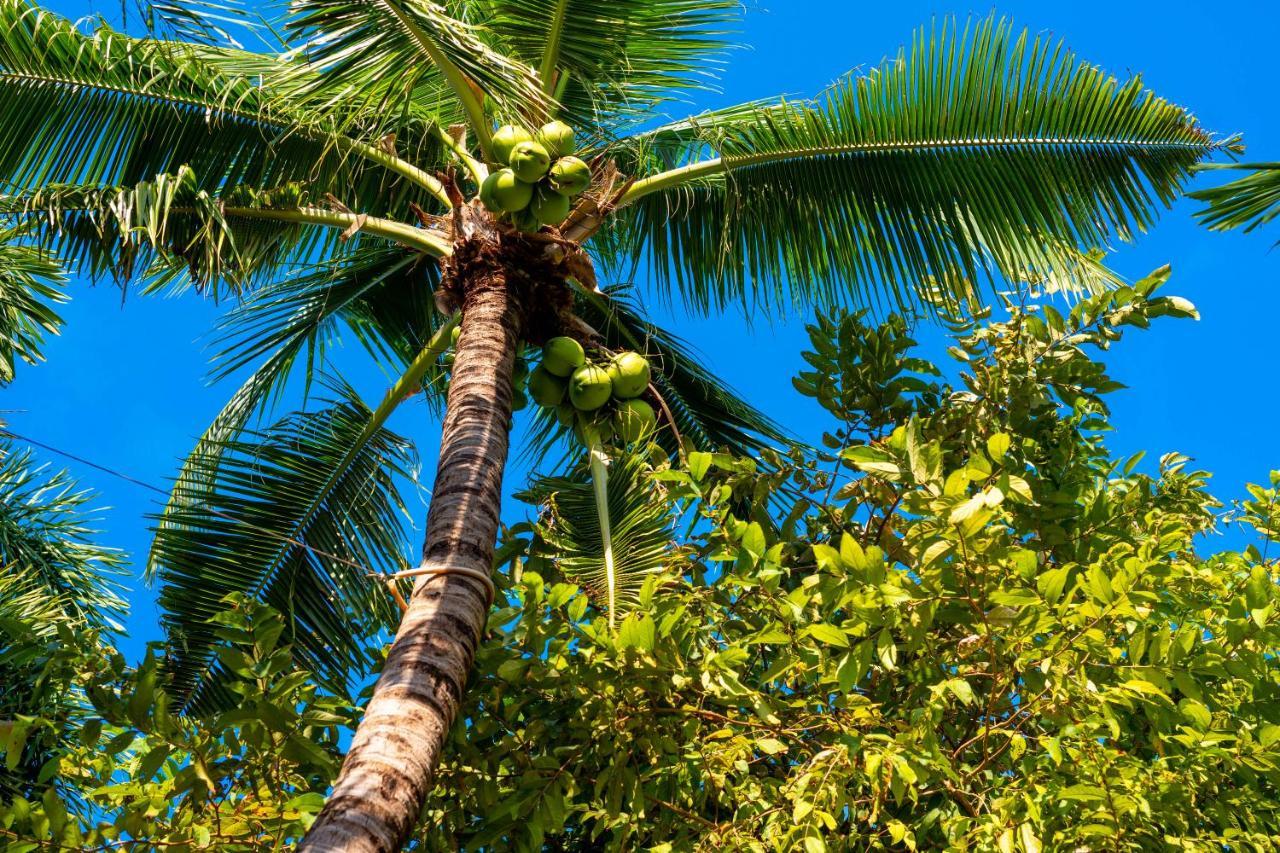 Samui Natien Resort Παραλία Σαγουένγκ Εξωτερικό φωτογραφία
