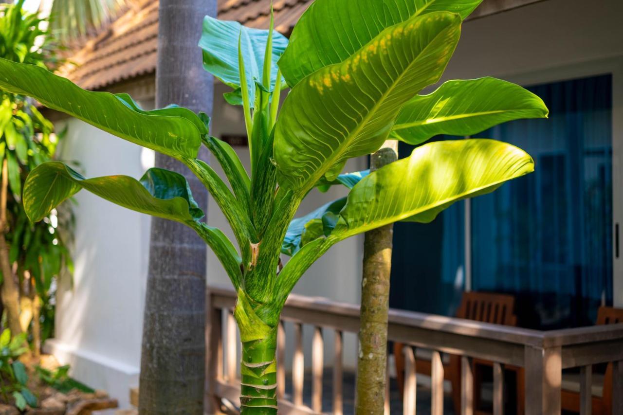 Samui Natien Resort Παραλία Σαγουένγκ Εξωτερικό φωτογραφία